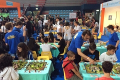 foto12